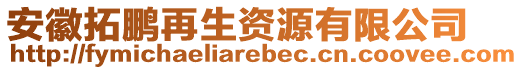 安徽拓鵬再生資源有限公司