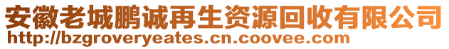 安徽老城鵬誠再生資源回收有限公司