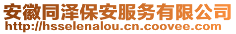 安徽同澤保安服務(wù)有限公司