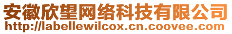 安徽欣望網絡科技有限公司