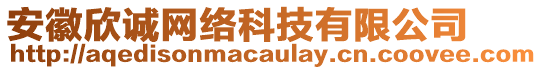 安徽欣誠網(wǎng)絡(luò)科技有限公司