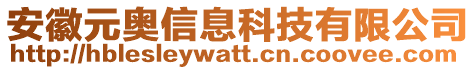 安徽元奧信息科技有限公司