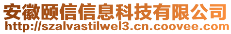 安徽頤信信息科技有限公司