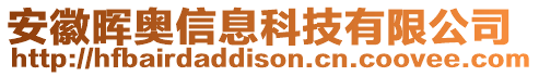 安徽暉奧信息科技有限公司