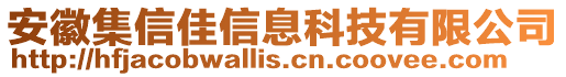 安徽集信佳信息科技有限公司