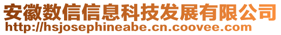 安徽數(shù)信信息科技發(fā)展有限公司