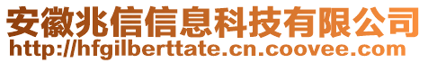 安徽兆信信息科技有限公司