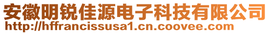 安徽明銳佳源電子科技有限公司