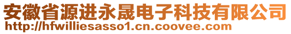 安徽省源進永晟電子科技有限公司
