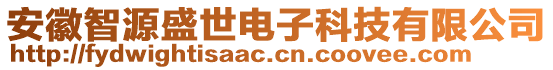 安徽智源盛世電子科技有限公司