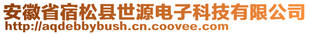 安徽省宿松縣世源電子科技有限公司