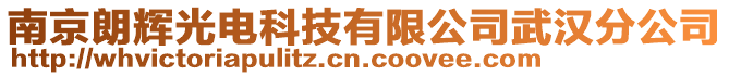 南京朗輝光電科技有限公司武漢分公司