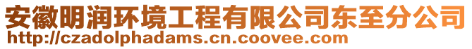 安徽明潤(rùn)環(huán)境工程有限公司東至分公司