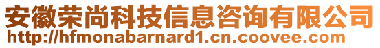 安徽榮尚科技信息咨詢有限公司