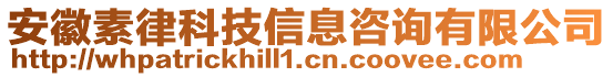 安徽素律科技信息咨詢有限公司