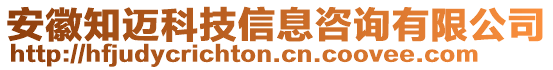 安徽知邁科技信息咨詢有限公司