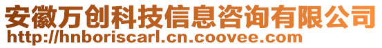 安徽萬創(chuàng)科技信息咨詢有限公司