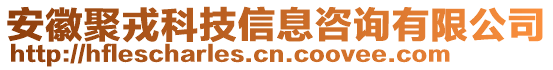 安徽聚戎科技信息咨詢有限公司