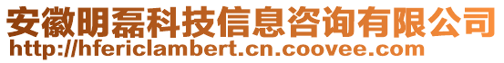 安徽明磊科技信息咨詢有限公司