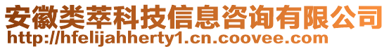 安徽類萃科技信息咨詢有限公司