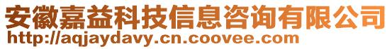 安徽嘉益科技信息咨詢有限公司