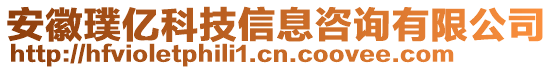 安徽璞億科技信息咨詢有限公司