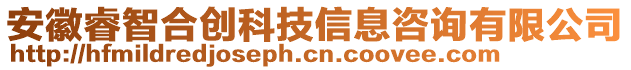 安徽睿智合創(chuàng)科技信息咨詢有限公司