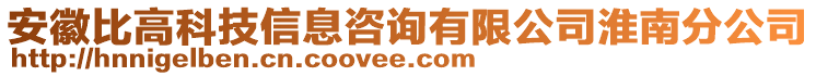 安徽比高科技信息咨詢有限公司淮南分公司