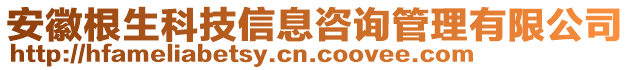 安徽根生科技信息咨詢管理有限公司