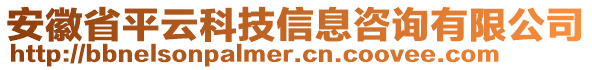 安徽省平云科技信息咨詢有限公司