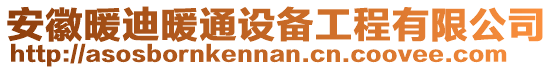 安徽暖迪暖通設備工程有限公司