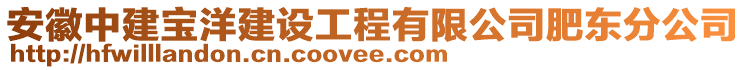 安徽中建寶洋建設工程有限公司肥東分公司