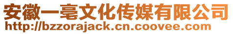 安徽一亳文化傳媒有限公司