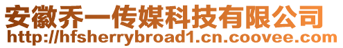 安徽喬一傳媒科技有限公司