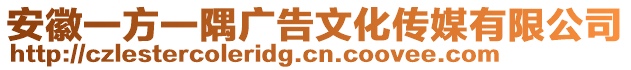 安徽一方一隅廣告文化傳媒有限公司