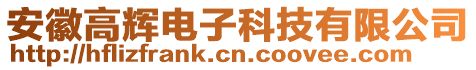 安徽高輝電子科技有限公司