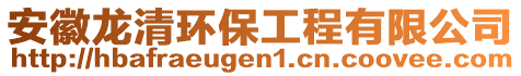 安徽龍清環(huán)保工程有限公司