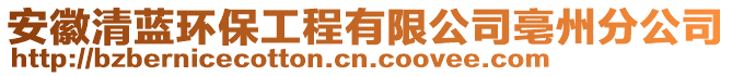 安徽清藍(lán)環(huán)保工程有限公司亳州分公司