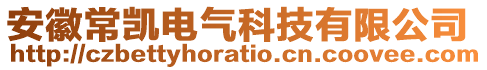 安徽常凱電氣科技有限公司