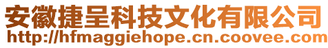 安徽捷呈科技文化有限公司