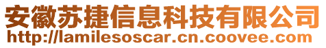 安徽蘇捷信息科技有限公司