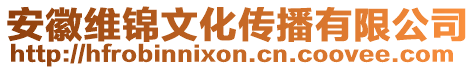 安徽維錦文化傳播有限公司