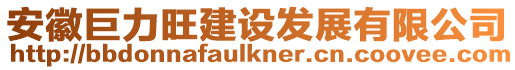 安徽巨力旺建設(shè)發(fā)展有限公司