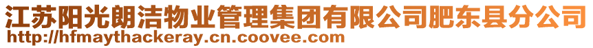 江蘇陽光朗潔物業(yè)管理集團(tuán)有限公司肥東縣分公司