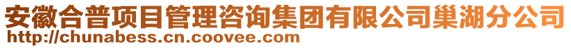 安徽合普項(xiàng)目管理咨詢集團(tuán)有限公司巢湖分公司