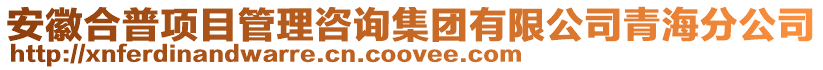 安徽合普項目管理咨詢集團有限公司青海分公司