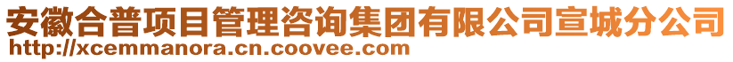 安徽合普項(xiàng)目管理咨詢集團(tuán)有限公司宣城分公司