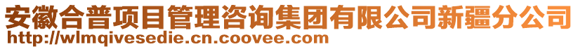 安徽合普項目管理咨詢集團有限公司新疆分公司