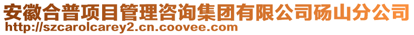 安徽合普項目管理咨詢集團(tuán)有限公司碭山分公司