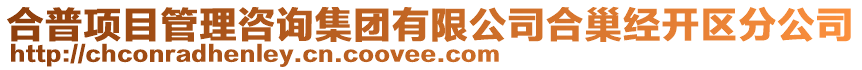 合普項(xiàng)目管理咨詢集團(tuán)有限公司合巢經(jīng)開區(qū)分公司